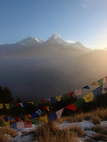 097 - Poon Hill, prayer flags