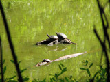 Looks like a family enjoying the sun