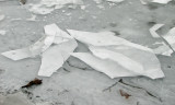 Broken chunks of ice - like pieces of glass