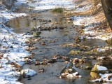 A stream bed