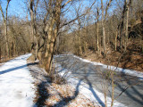The trail and the canal