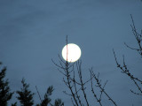 The moon out of focus