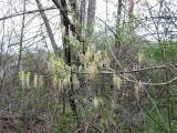 Signs of Spring