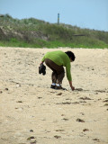 Picking shells