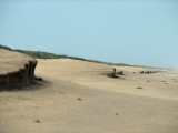 Natually created art on the beach