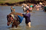 Gravel harvesting - Mardan