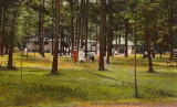 Picnic Grove - Lake Pearl Park