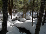 Wet land water pools highlighted by the snow