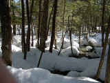 Wet land water pools highlighted by the snow