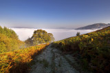 Rhayader lost in the mist