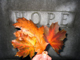  Hope Haven Castle... inspired by & dedicated to Sweet Melanie Watson :):):)