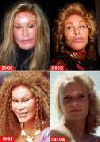 jocelyn-wildenstein.jpg