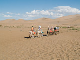 Camel Caravan