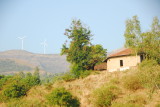 DSC_1256.JPG