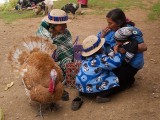 todos santos