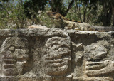 Chitzen Itza