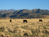 Ranch and farm land outside Chiricahua