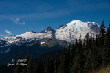 Mt Rainier East\Northeast face; from road to Sunrise