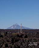 Lava Field