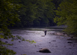 Flyfisherman