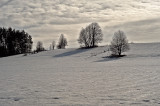 Roztoczanski National Park