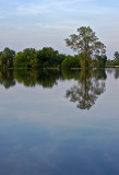 Bzura River