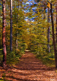 Roztoczanski National Park
