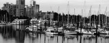 Vancouver Yacht Harbor.jpg
