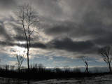 Dramatic Sky<BR>January 7, 2010