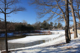 Park Landscape<BR>January 9, 2010