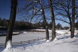 Cook Park in Winter