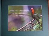 Feathered Wonders (2)