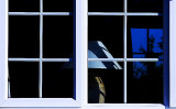 Shadow on lamp