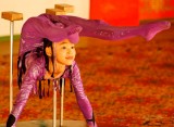Contortionist, Tumen Ekh National Performers