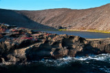 Flamingos in the Caldera of Rocas Bainbridge