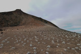 Looking up at the Top of Bartolome