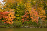 Fall on Lake Montclair