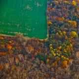 Green Field in Shenandoah Valley