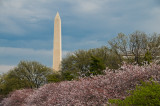 Washington Monument