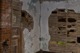 These Old Walls