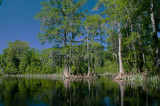 Itchetucknee River, FL