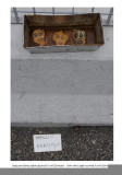 Museo allAperto di Fausto Delle Chiaie 39.jpg