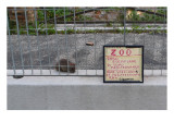 Museo all'Aperto di Fausto Delle Chiaie 90.jpg