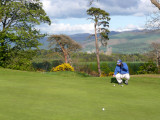 Preparing to putt.