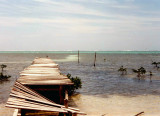 Ambergris Caye, Belize (British Honduras)