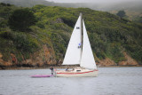 Tomales sail 028.jpg