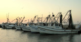 Shrimp boats Fulton Harbor 01