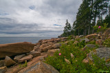 Acadia NP