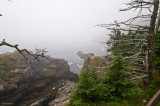 Quoddy Head SP - Cliff trail