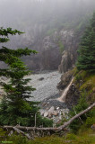 Quoddy Head SP - Cliff trail